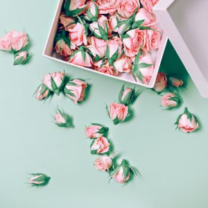 we we love rose - cocogold
